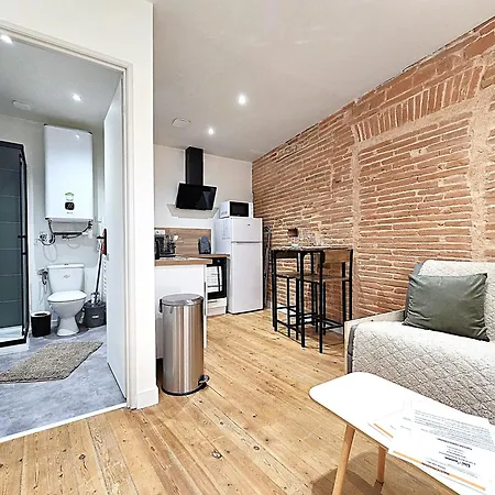 Апартаменты Le Briand - Pour 2 Personnes - Climatisation - Fibre Internet - 5 Min A Pied De La Gare Et Du Centre-ville - Places De Stationnements Gratuites Sur Toute L'avenue Монтобан