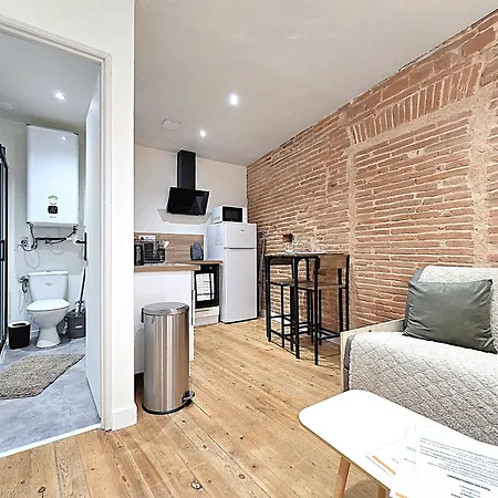 Le Briand - Pour 2 Personnes - Climatisation - Fibre Internet - 5 Min A Pied De La Gare Et Du Centre-ville - Places De Stationnements Gratuites Sur Toute L'avenue Монтобан