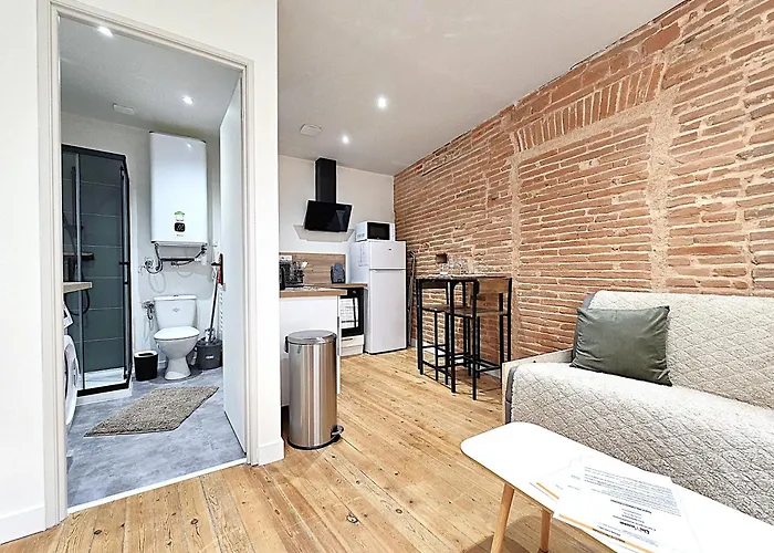 Apartment Le Briand - Pour 2 Personnes - Climatisation - Fibre Internet - 5 Min A Pied De La Gare Et Du Centre-ville - Places De Stationnements Gratuites Sur Toute L'avenue Montauban