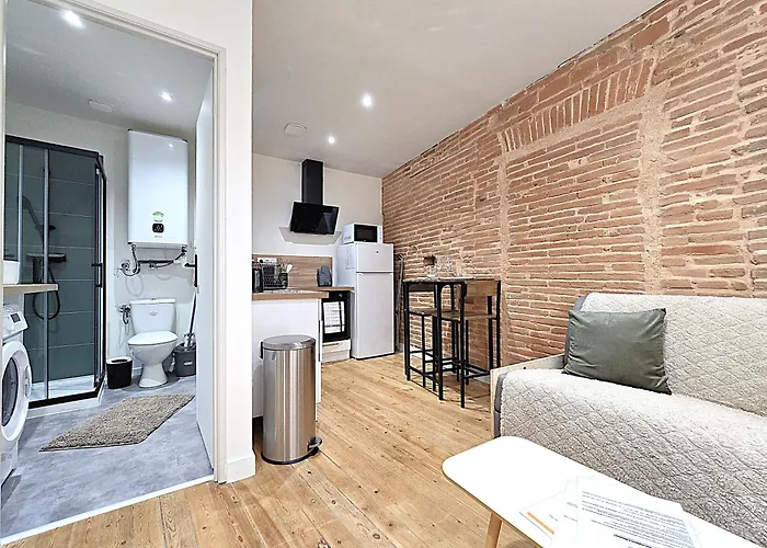 Le Briand - Pour 2 Personnes - Climatisation - Fibre Internet - 5 Min A Pied De La Gare Et Du Centre-ville - Places De Stationnements Gratuites Sur Toute L'avenue Montauban